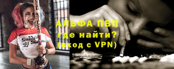 сатива Лабытнанги