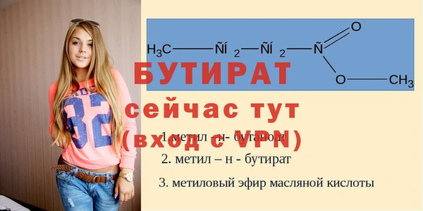 сатива Лабытнанги