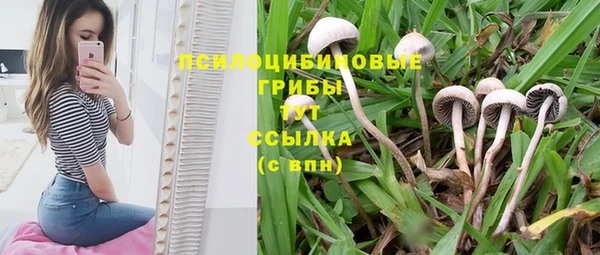 дживик Ладушкин