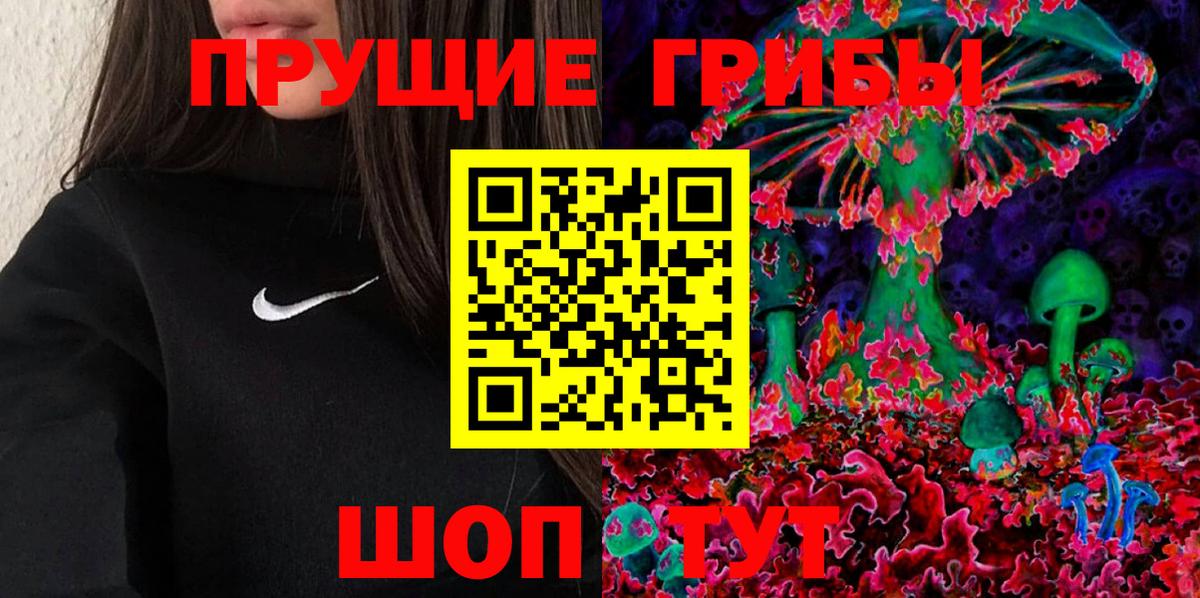 Псилоцибиновые грибы GOLDEN TEACHER Хабаровск