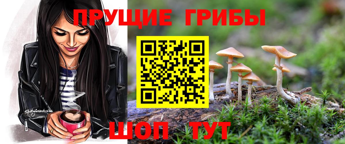 Хабаровск  Псилоцибиновые грибы мухоморы  Вход с VPN 